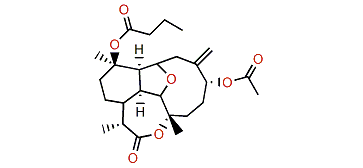 Briarellin L